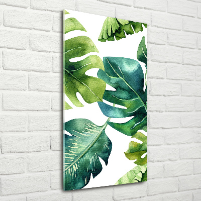 Akrilkép Trópusi levelek