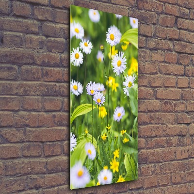 Akrilkép Margaréták