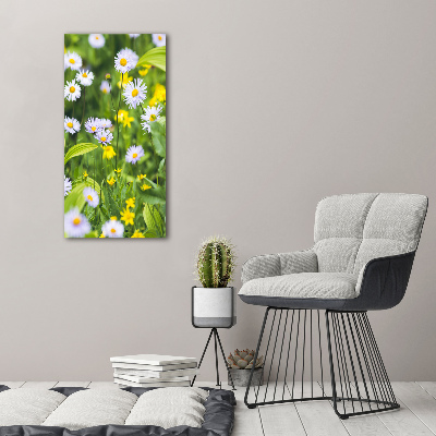 Akrilkép Margaréták