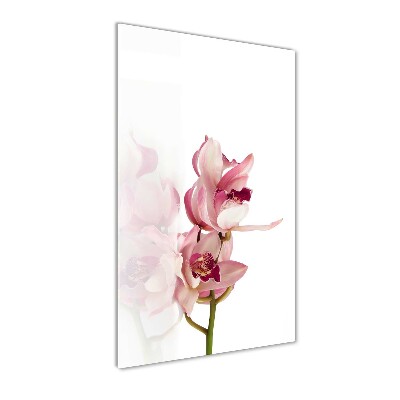 Akrilkép Rózsaszín orchidea