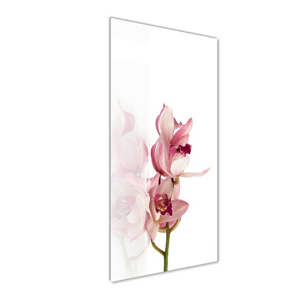 Akrilkép Rózsaszín orchidea