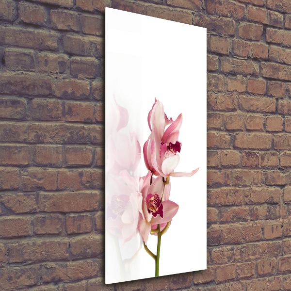 Akrilkép Rózsaszín orchidea