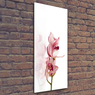 Akrilkép Rózsaszín orchidea