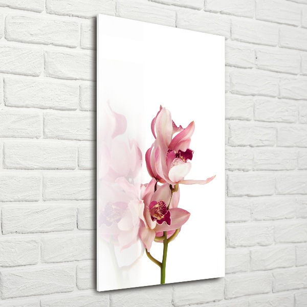 Akrilkép Rózsaszín orchidea