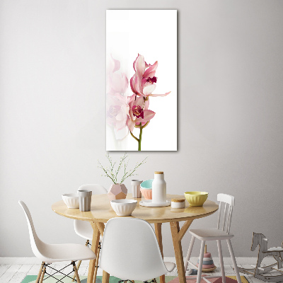 Akrilkép Rózsaszín orchidea