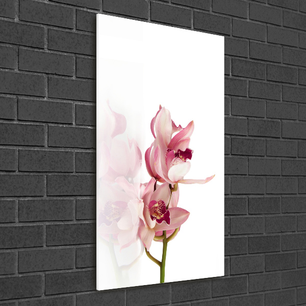 Akrilkép Rózsaszín orchidea