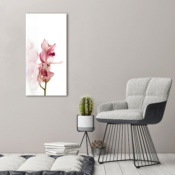 Akrilkép Rózsaszín orchidea