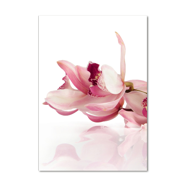 Akrilkép Rózsaszín orchidea