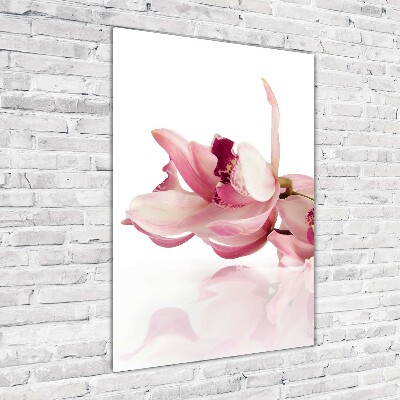Akrilkép Rózsaszín orchidea