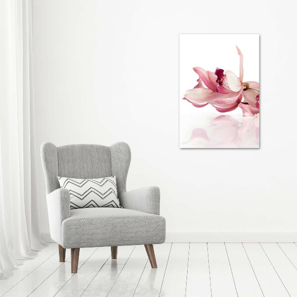 Akrilkép Rózsaszín orchidea