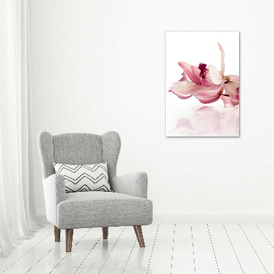 Akrilkép Rózsaszín orchidea