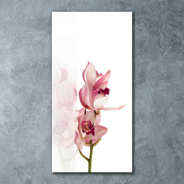 Akrilkép Rózsaszín orchidea