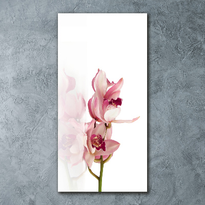 Akrilkép Rózsaszín orchidea