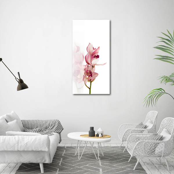 Akrilkép Rózsaszín orchidea
