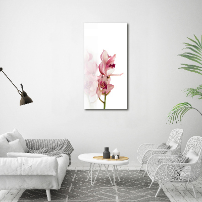 Akrilkép Rózsaszín orchidea