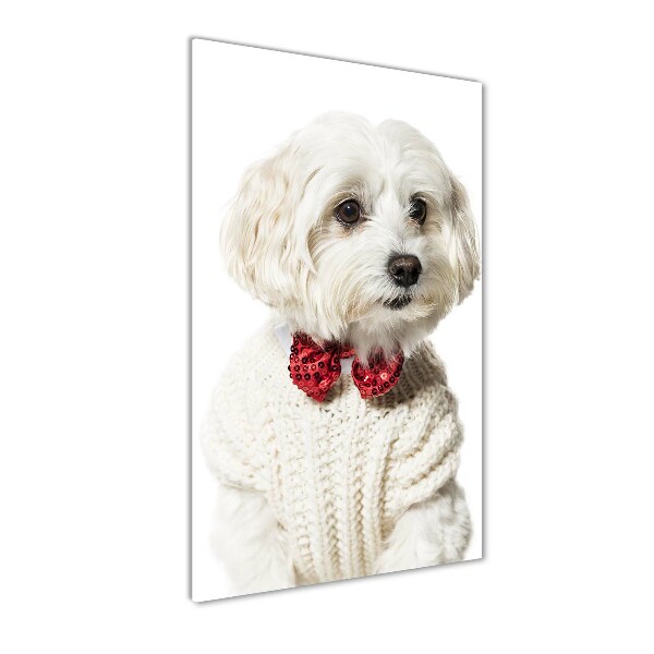 Akrilkép Máltai fegyverrel