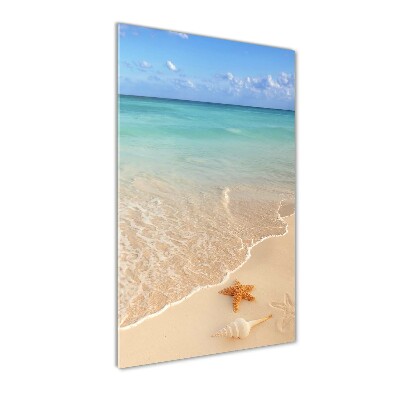 Akril üveg kép Starfish a strandon