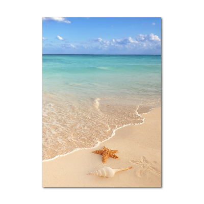 Akril üveg kép Starfish a strandon