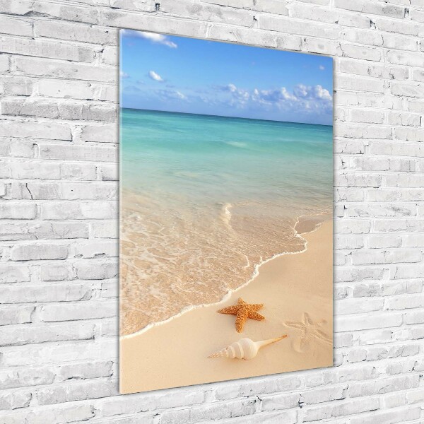 Akril üveg kép Starfish a strandon