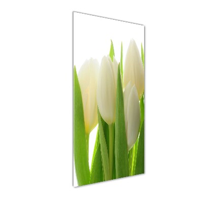 Akrilkép Fehér tulipán