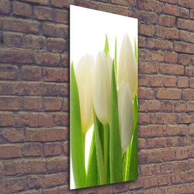 Akrilkép Fehér tulipán