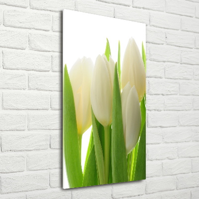 Akrilkép Fehér tulipán