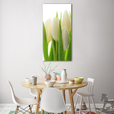 Akrilkép Fehér tulipán