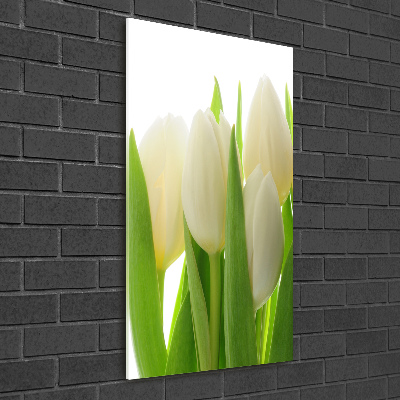 Akrilkép Fehér tulipán