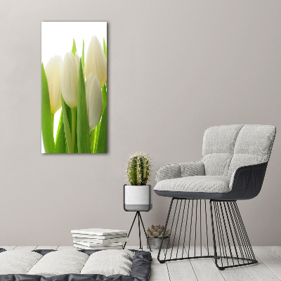 Akrilkép Fehér tulipán