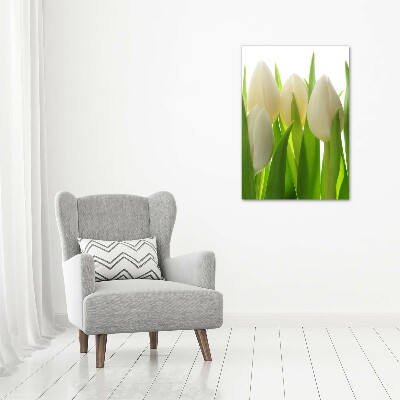 Akrilkép Fehér tulipán
