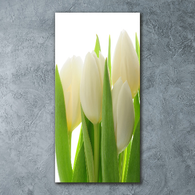 Akrilkép Fehér tulipán