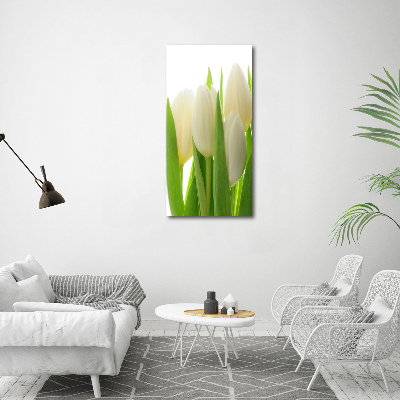 Akrilkép Fehér tulipán