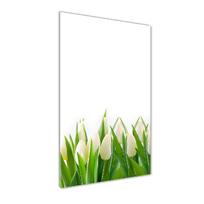 Akrilkép Fehér tulipán
