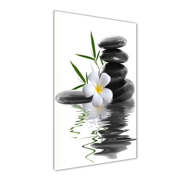 Akrilkép Orchidea és kövek