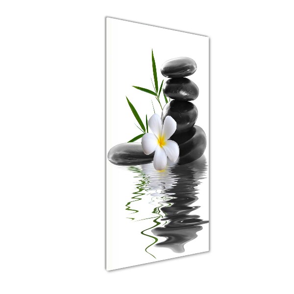 Akrilkép Orchidea és kövek