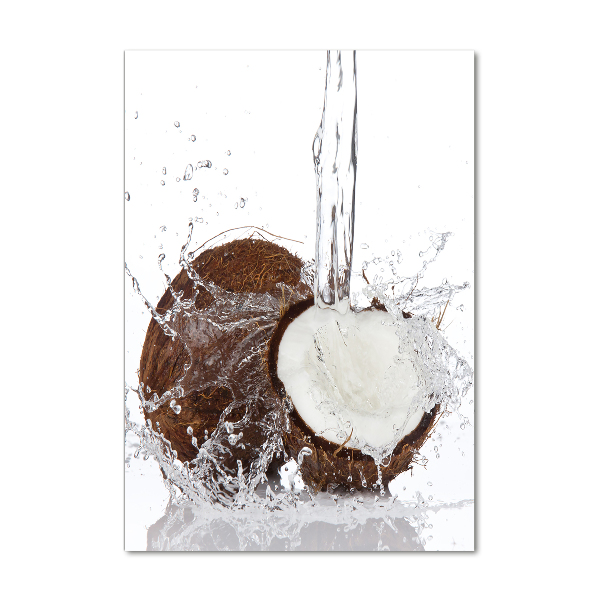 Akril üveg kép Kókuszdió