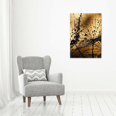 Akrilkép Pitypang magok