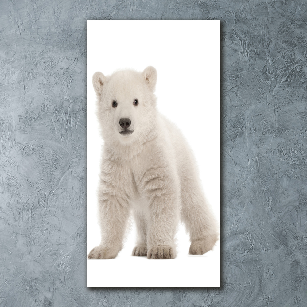 Akrilkép A jegesmedve