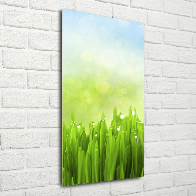 Akrilkép Fű