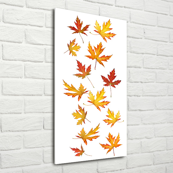 Akrilkép Őszi levelek