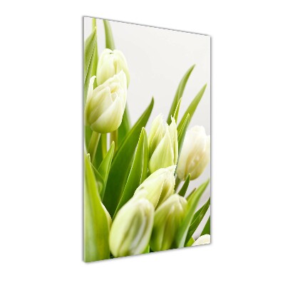 Akrilkép Fehér tulipán