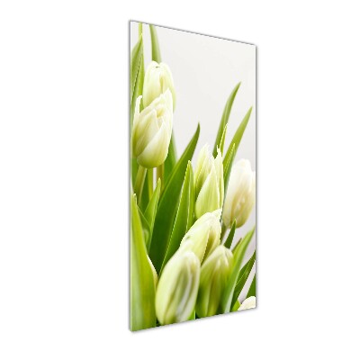 Akrilkép Fehér tulipán