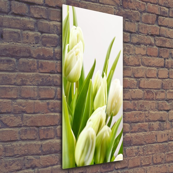 Akrilkép Fehér tulipán
