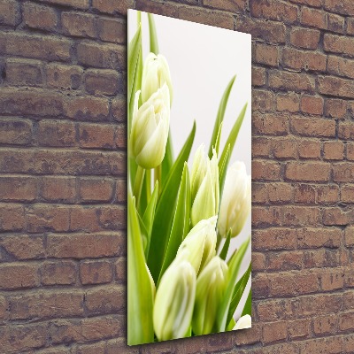 Akrilkép Fehér tulipán