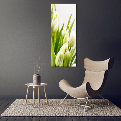 Akrilkép Fehér tulipán