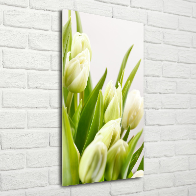 Akrilkép Fehér tulipán