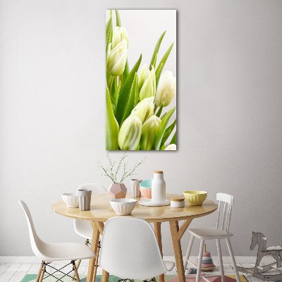 Akrilkép Fehér tulipán