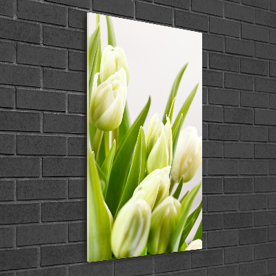 Akrilkép Fehér tulipán