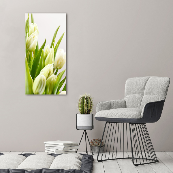 Akrilkép Fehér tulipán