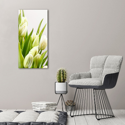 Akrilkép Fehér tulipán